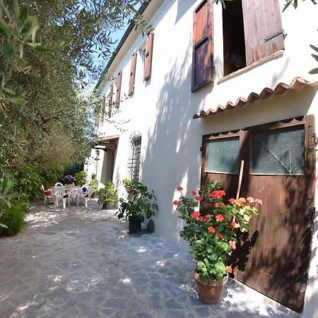 Casa Romana Viareggio Extérieur photo