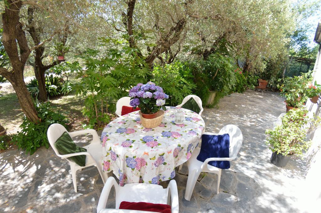 Casa Romana Viareggio Extérieur photo
