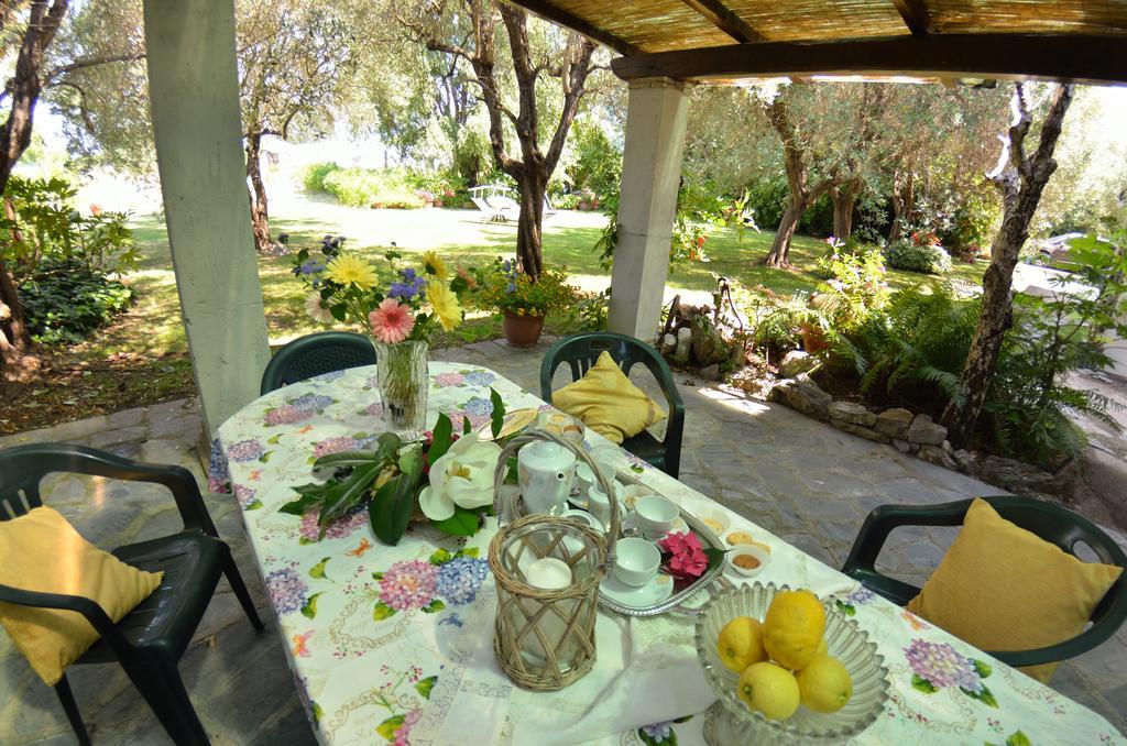 Casa Romana Viareggio Extérieur photo